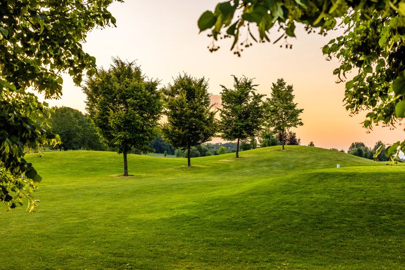 metzenhof golfplatz golf gruenfläche bäume